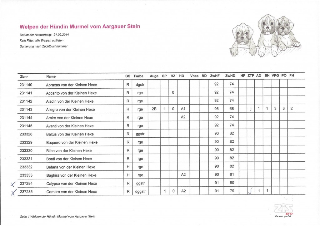 Zispro-Welpenübersicht1
