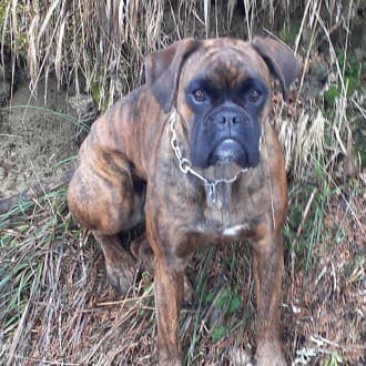 Bild von Coraya von der Kleinen Hexe