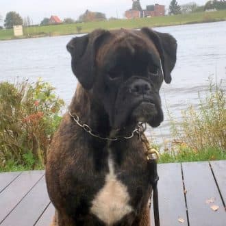 Bild von Polly v. Burg Wassenberg